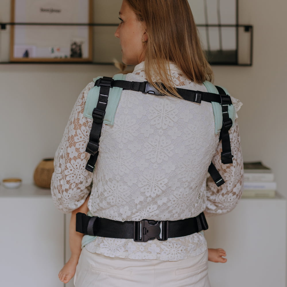 Back view of Fusion Full Buckle Baby Carrier Design Chevron pastel mint