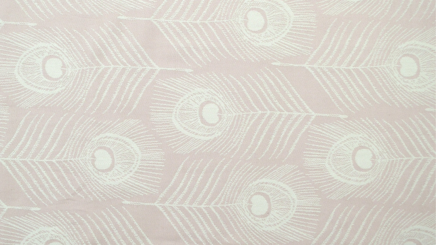 Detail: feather rose