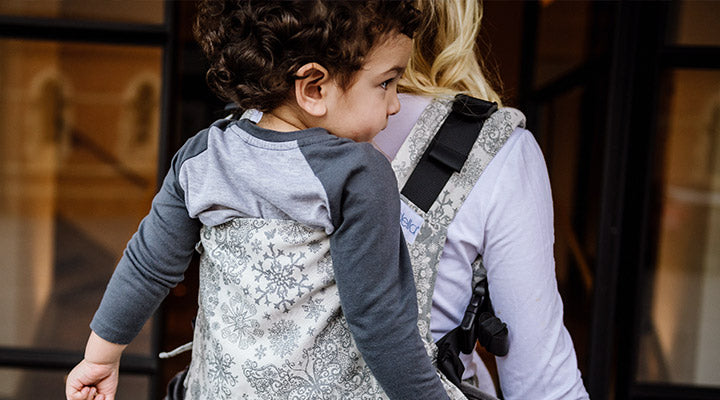 Which toddler carrier is right for me and my child?
