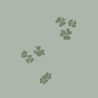 Clover - pale green
